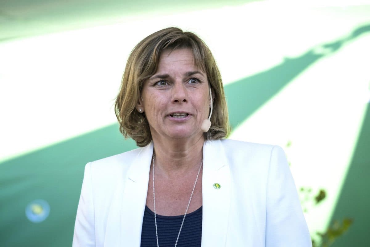 28213142195_5f7b24fd38_o