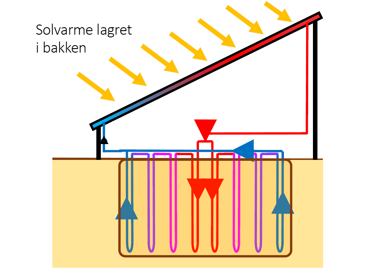 Kandidat More Anergy