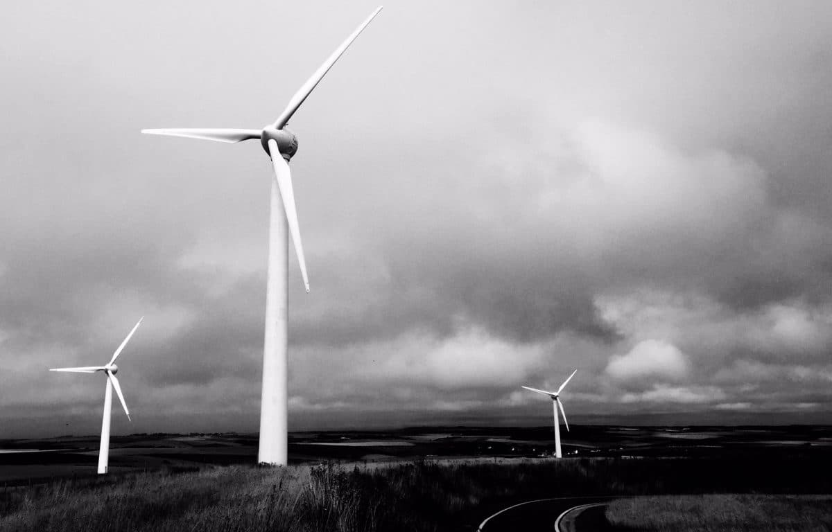 19610169824_12801d314b_o