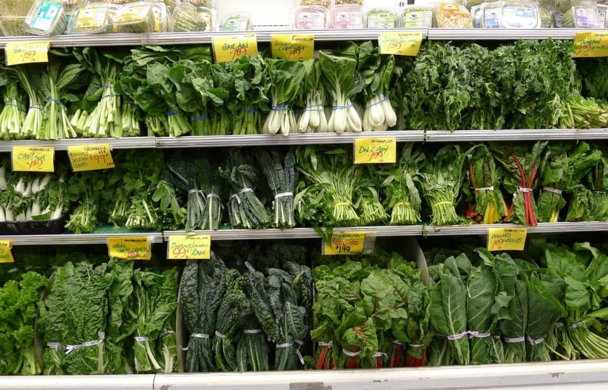 landareal_groennsaker_