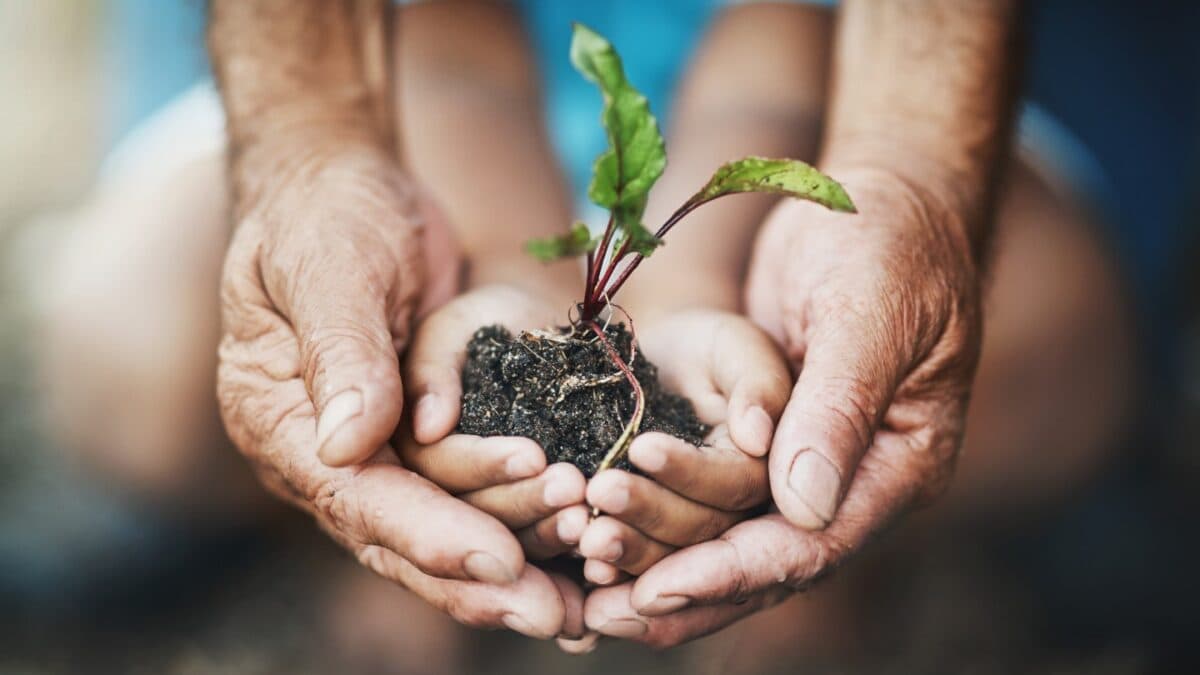 En gammel mann og et barn holder en plante i hendene.