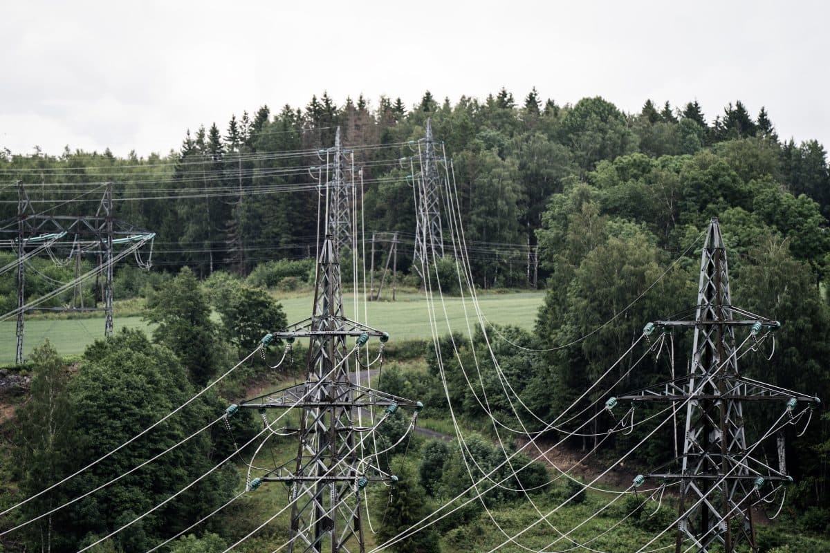 Høye kraftledninger og metallmaster går gjennom et grønt, skogkledd landskap med trær og en gresslette i bakgrunnen.