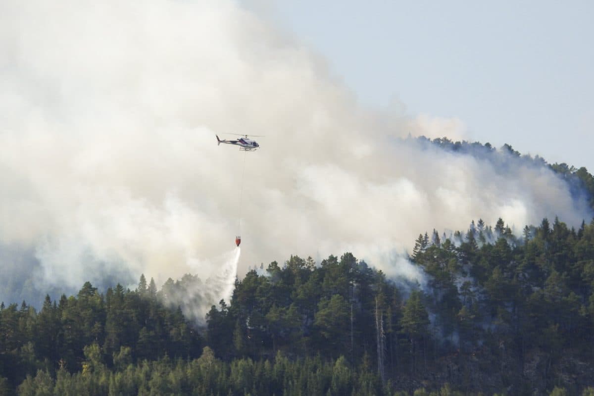 Et helikopter slipper vann over en skogbrann, med tett røyk som stiger opp over trærne.