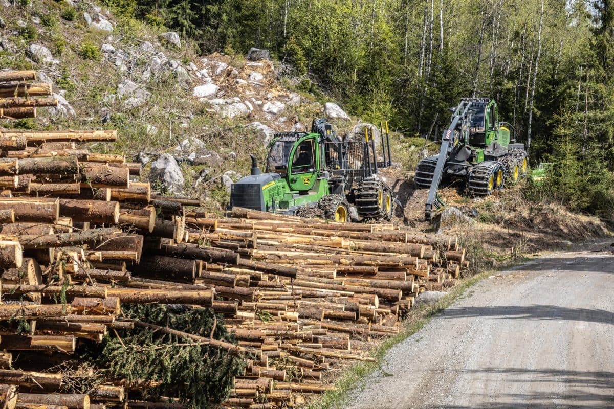 To skogsmaskiner står parkert ved siden av store stabler med tømmerstokker langs en grusvei i et skogsområde.