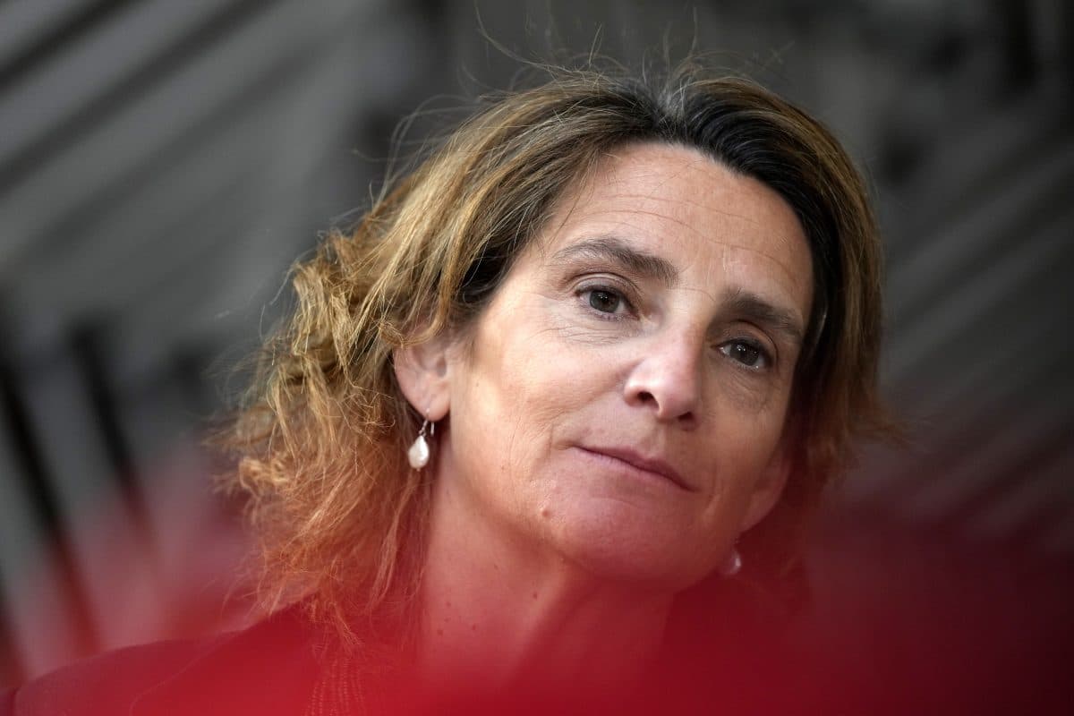 En kvinne med bølgende brunt hår og perleøreringer ser litt forbi kameraet, med en uskarp rød forgrunn og en nøytral bakgrunn.