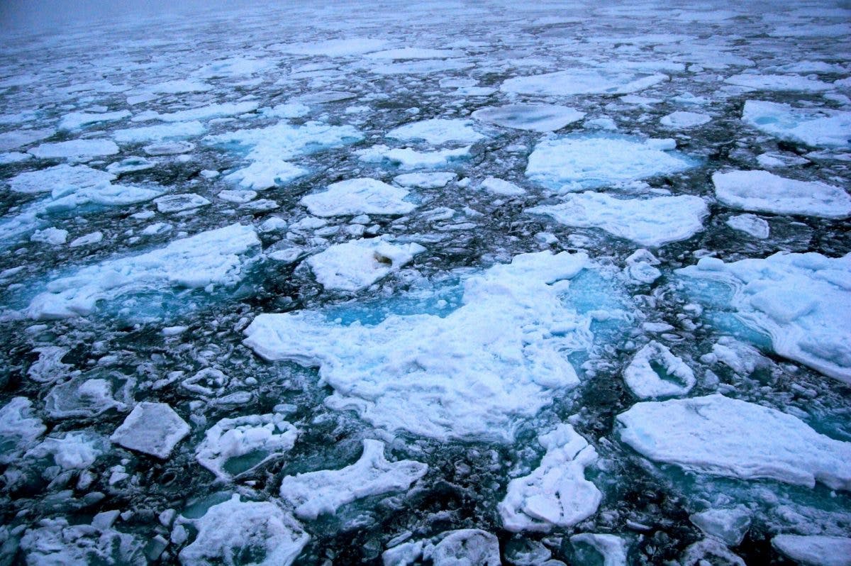 Arctic_Ice