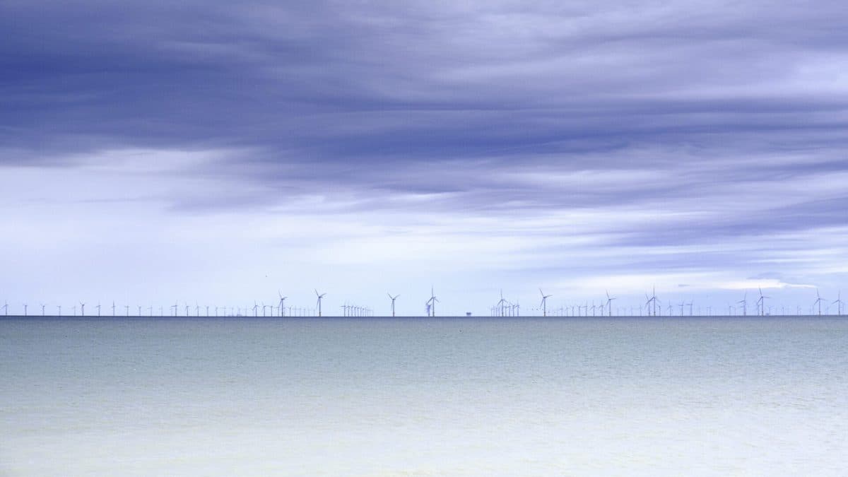 35722654535_62220c967c_o