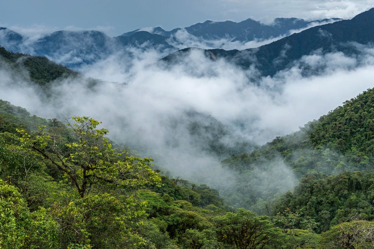 mountain rainforest at the Andes with clouds, Putumayo department, Colombia
