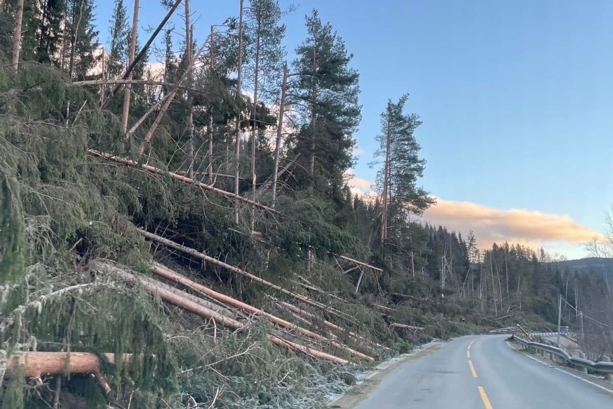 256048770_445802206959694_6668839303283567991_n