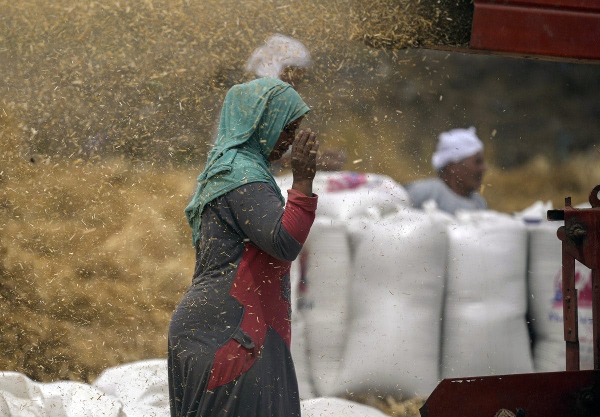 kvinne foran sekker med hvete