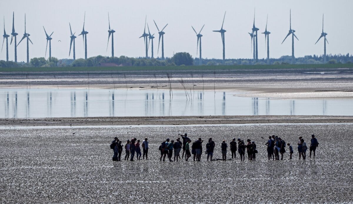 En flokk mennesker vasser på strand med vindmøller i bakgrunnen