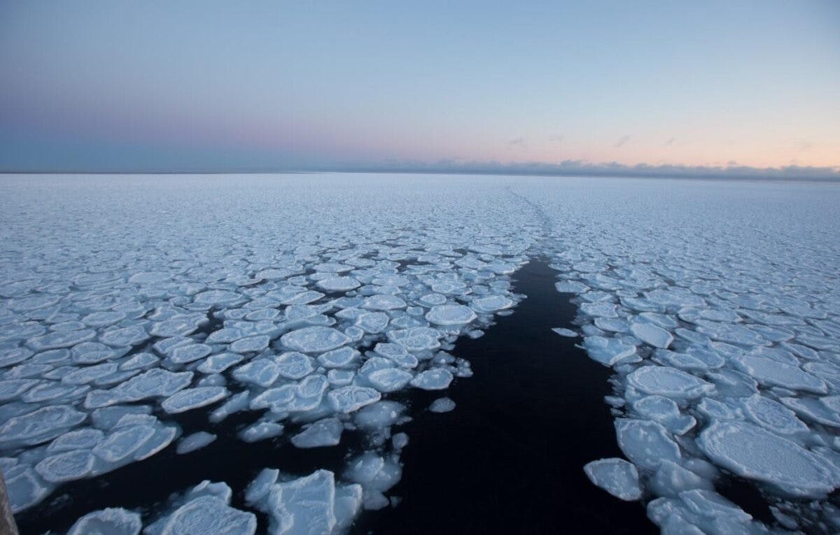 Et luftfoto av isflak som flyter i vannet.