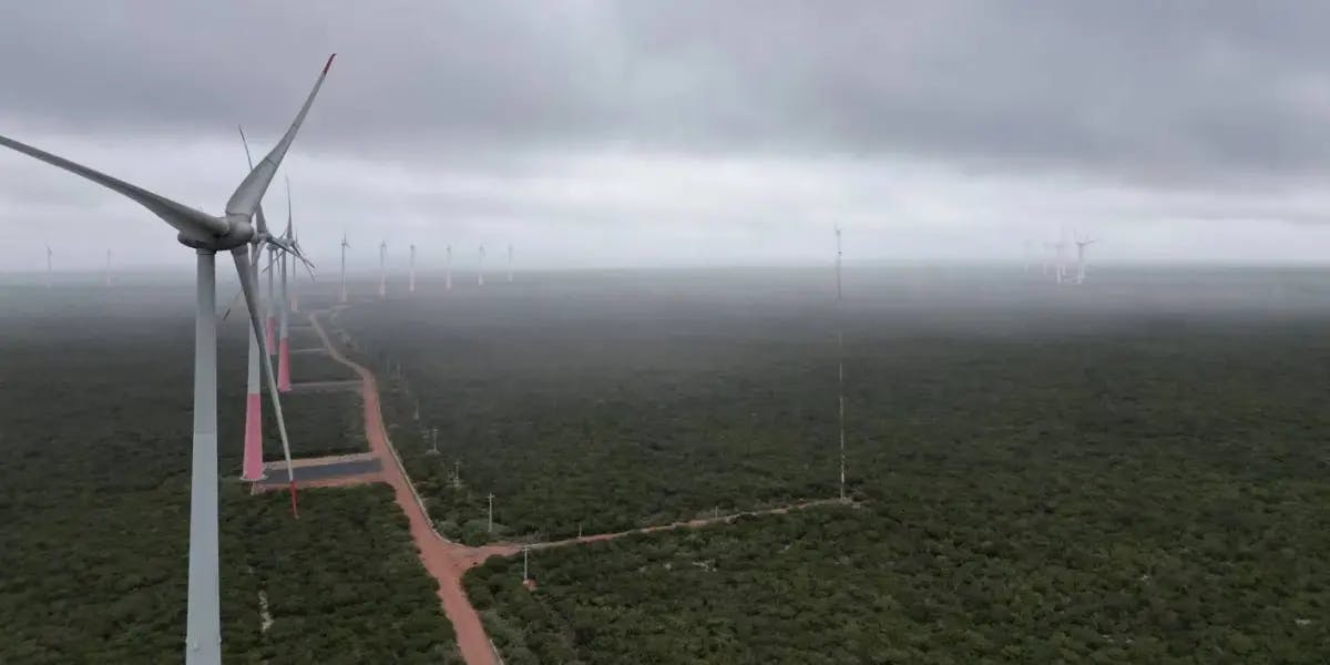 Et luftfoto av vindturbiner i en skog.