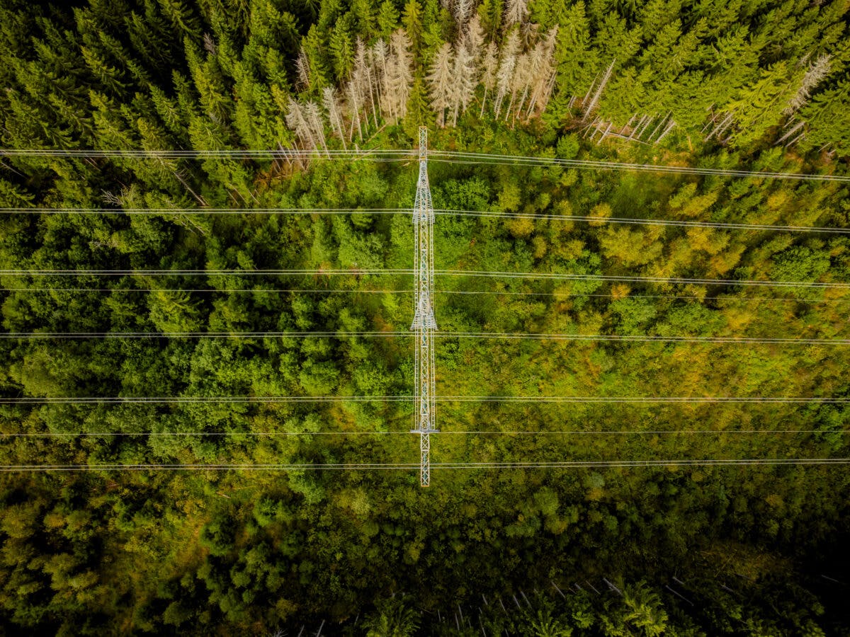 Luftfoto av en kraftledning i en skog.