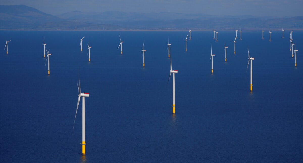 En stor gruppe vindturbiner i havet.