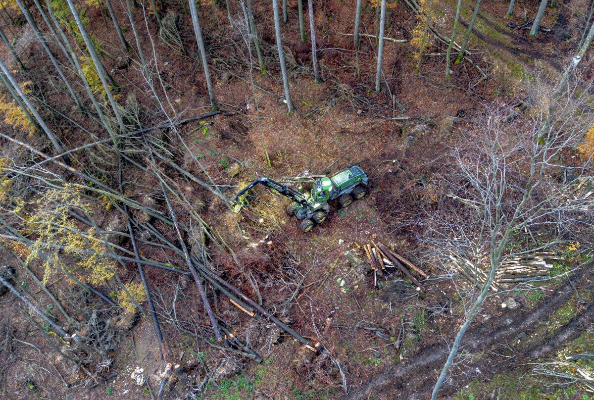 Et luftfoto av en gravemaskin i en skog.