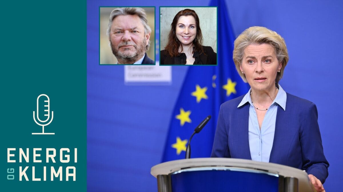 EU og en kvinne foran en mikrofon med ordene energi klima.