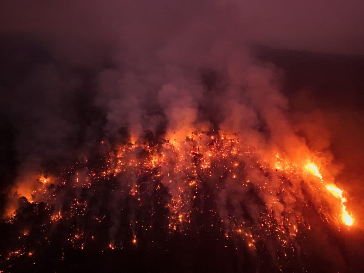 Luftfoto av en stor skogbrann med intense flammer og tykk røyk som stiger opp fra brennende vegetasjon om natten.
