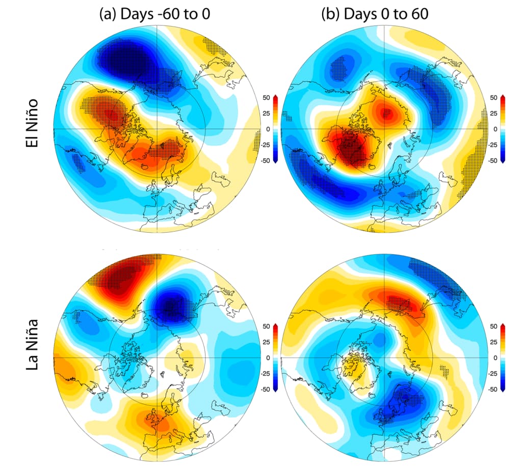 Fire polare projeksjonskart sammenligner væranomalier under El Niño og La Niña for to perioder: dag -60 til 0 og dag 0 til 60. Blått og rødt indikerer ulike anomaliverdier.