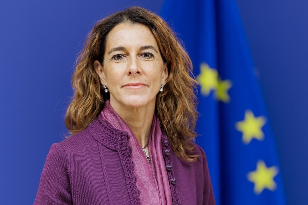 En kvinne med bølgende brunt hår, iført lilla jakke og skjerf, står foran en blå bakgrunn med gule stjerner som ligner på EU-flagget.