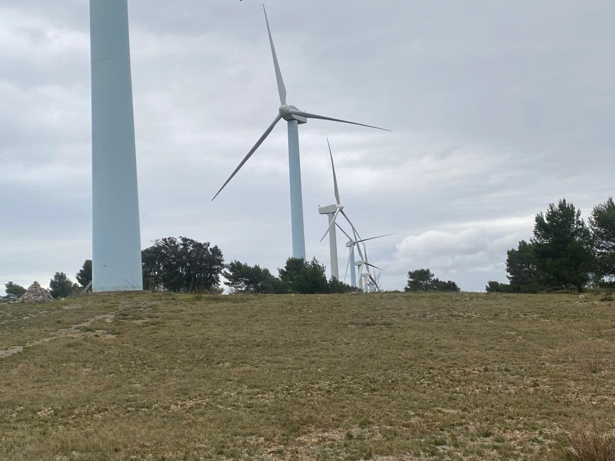 Vindturbiner på et jorde.