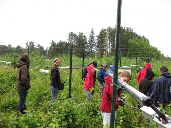 Norske studenter på besøk til et free-air carbon-enrichment-eksperiment ved Cloquet Forestry Center, Minnesota, USA.