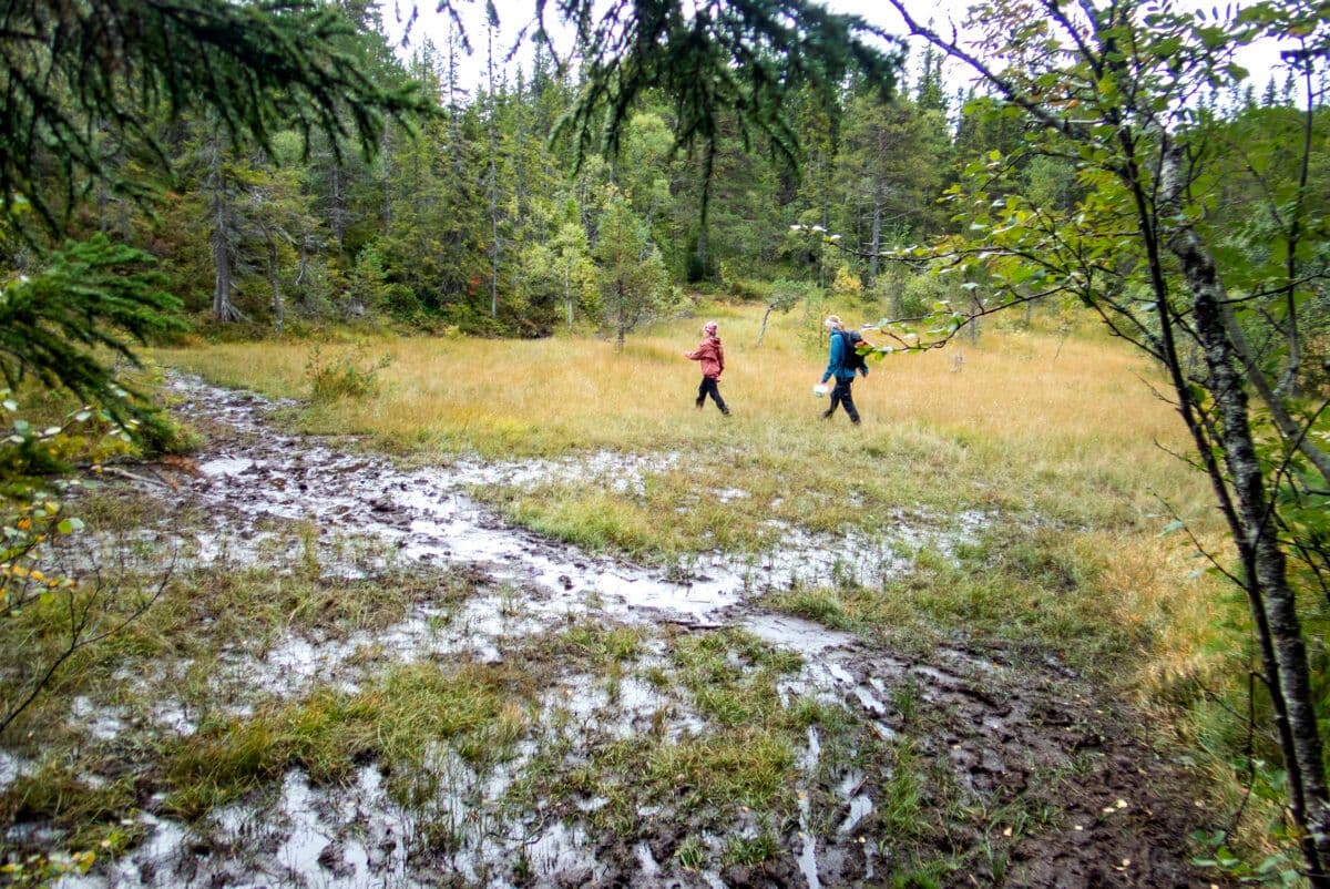 To turgåere som går gjennom et gjørmete område.