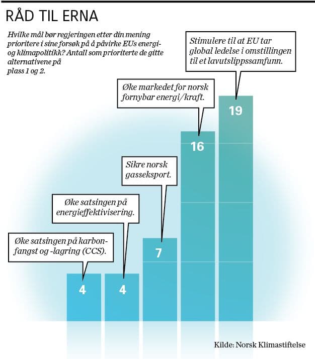 Prioriteringer for norsk politikk overfor EU, ifølge ekspertpanelet.