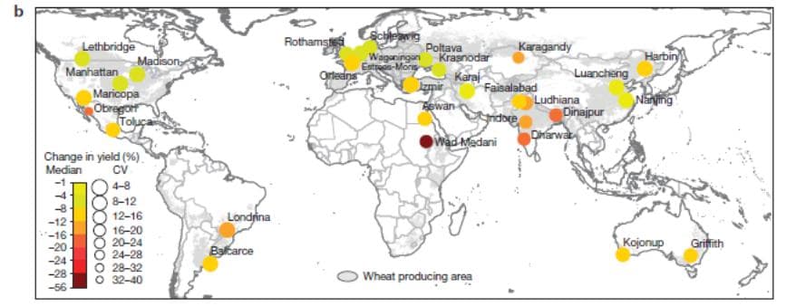 Forventet avlingsreduksjon i hvete ved 2 graders global oppvarming etter en eneste forutsetning; forventet temperatur. Etter Asseng et al 2015.