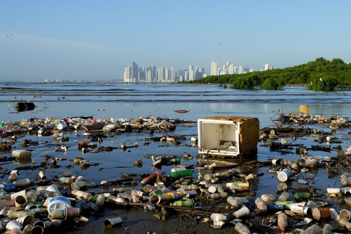 Strand strødd med plastavfall og rusk, med en bysilhuett i bakgrunnen.