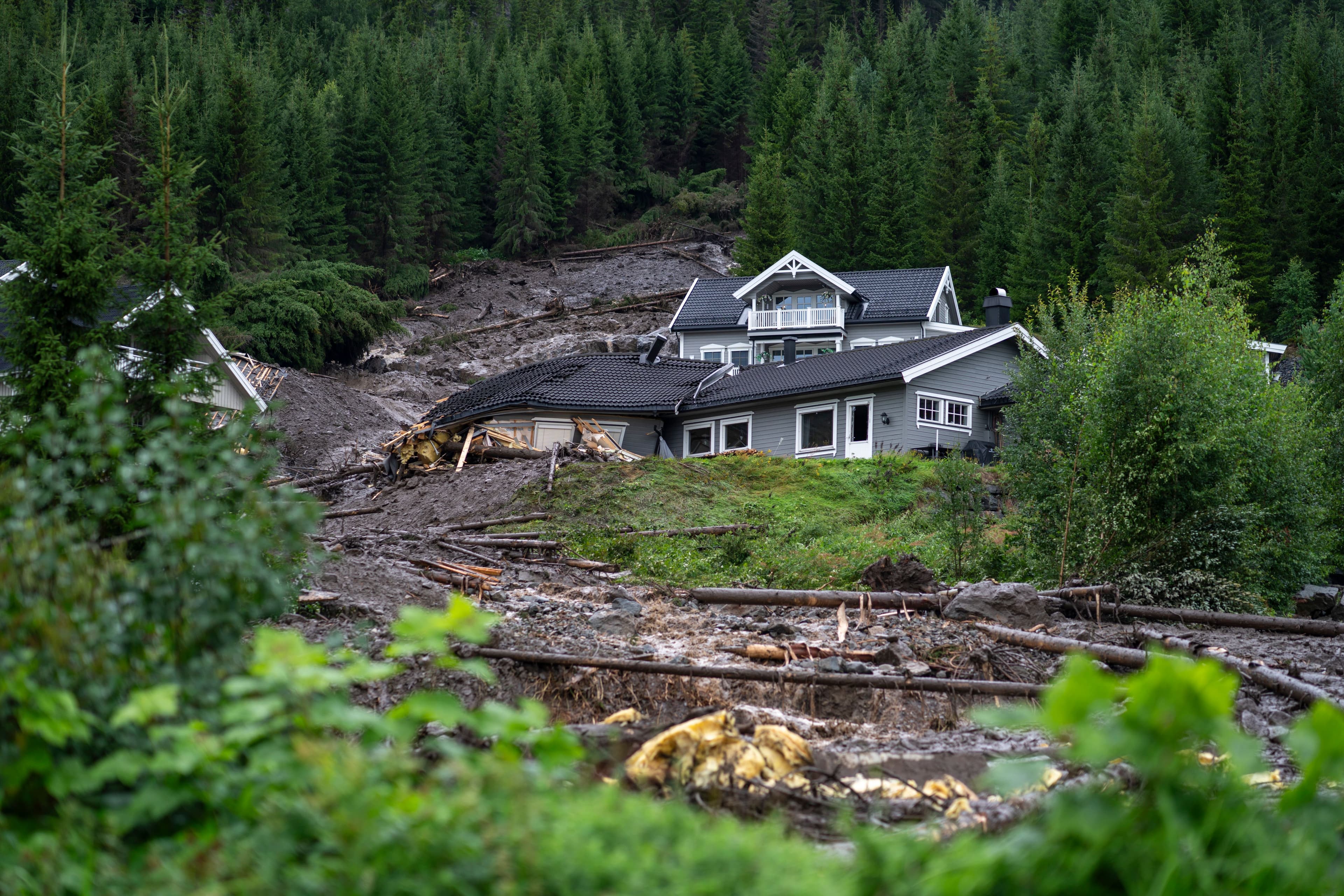 Et stort jordskred har begravd og skadet boliger i en skogkledd åsside.