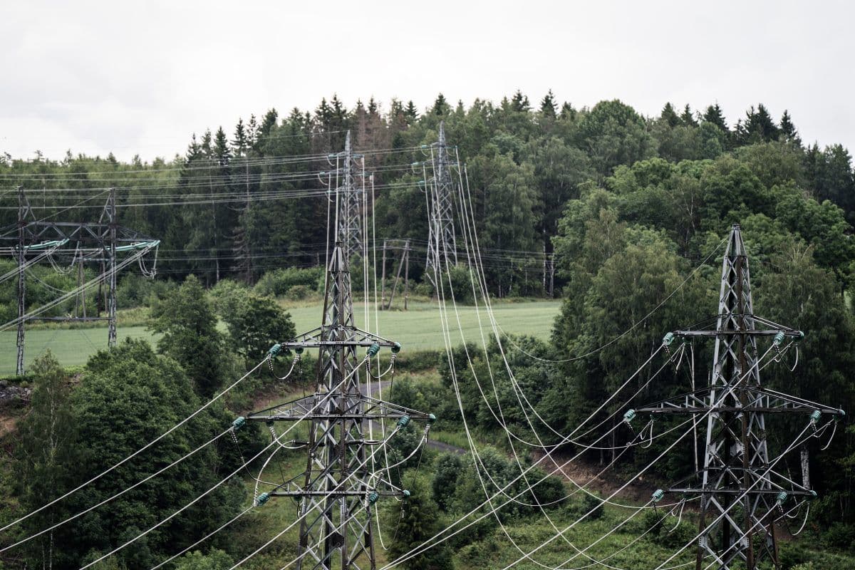 Høye kraftledninger og metallmaster går gjennom et grønt, skogkledd landskap med trær og en gresslette i bakgrunnen.