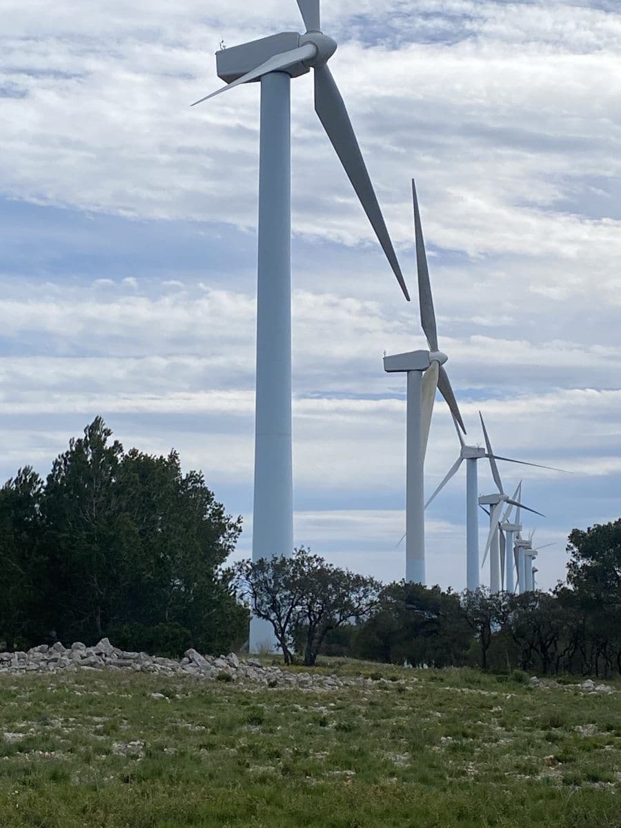 En rad med vindturbiner på et grønt felt omgitt av trær under en overskyet himmel.