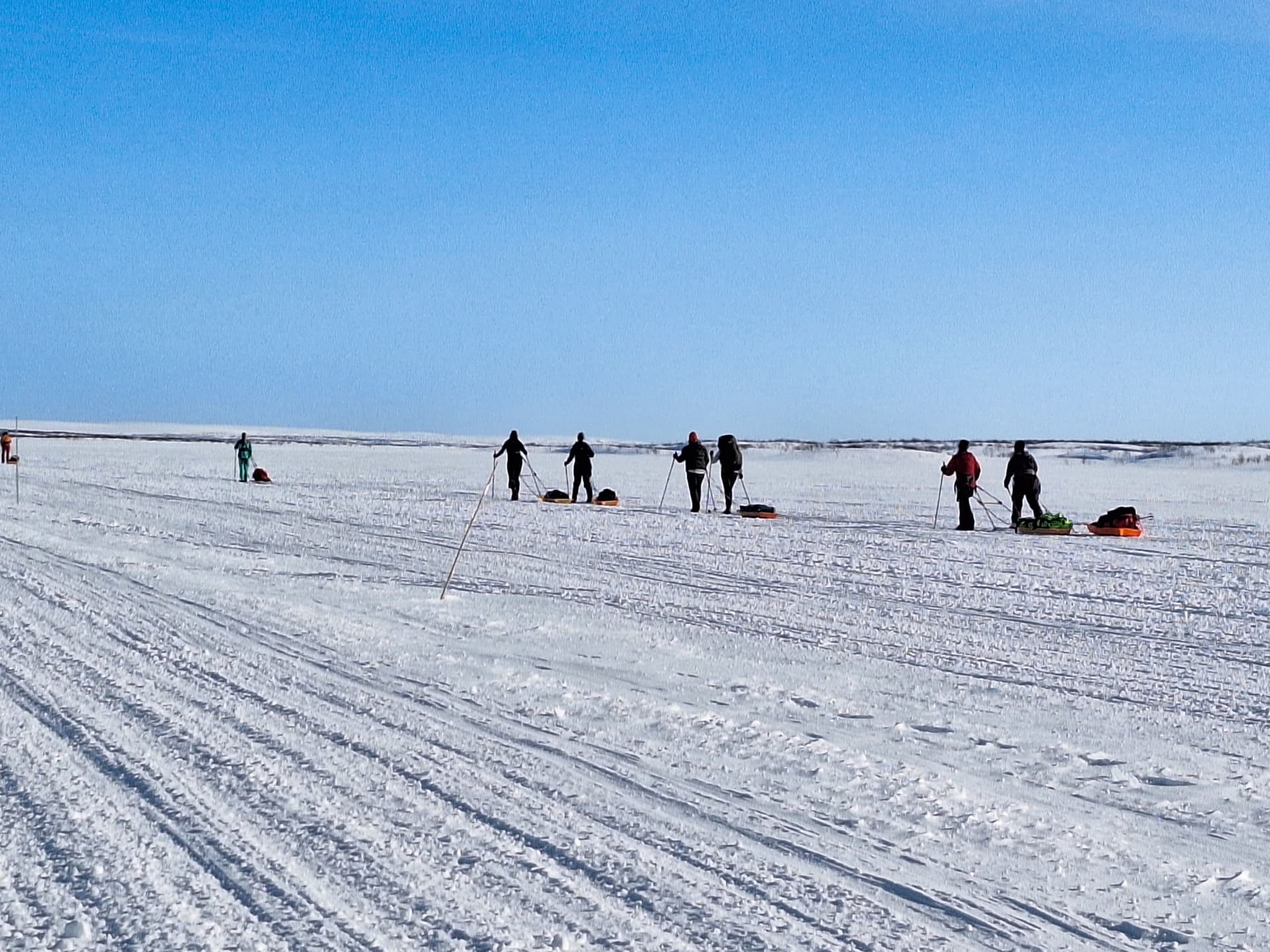 En gruppe mennesker som drar oransje sleder over et enormt snøfelt under en klar blå himmel.