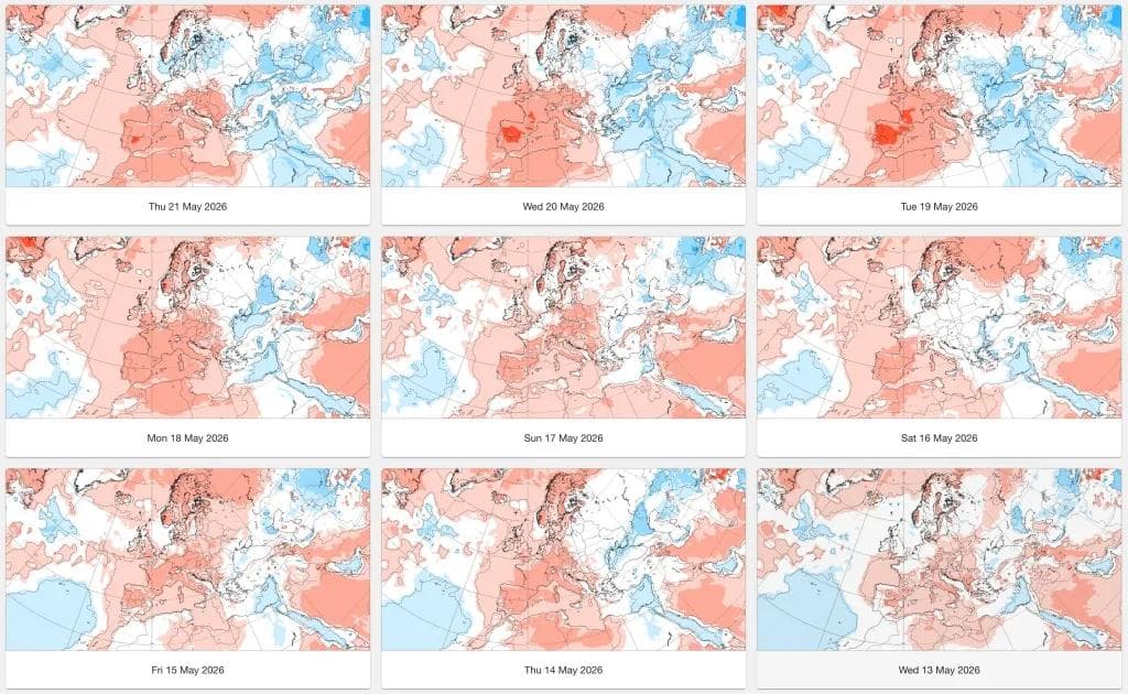 Rutenett med ni daglige europeiske værkart fra 13.–21. mai 2026, som viser temperaturavvik med rødt for varmere og blått for kjøligere områder.