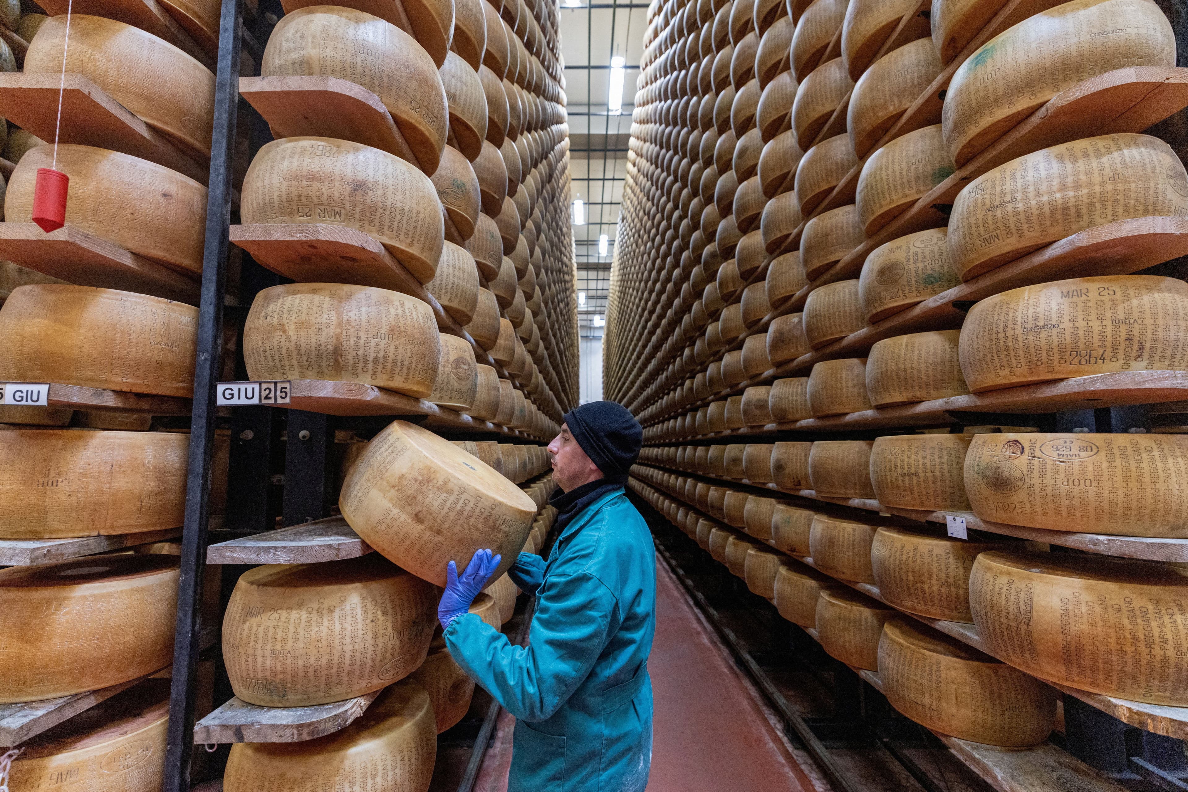 A worker handles a large cheese wheel on a shelf in a vast aging room filled with countless wheels.