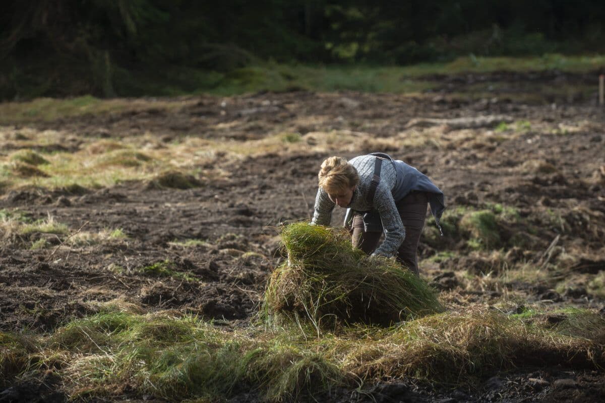 En kvinne som plukker opp gress på en åker.
