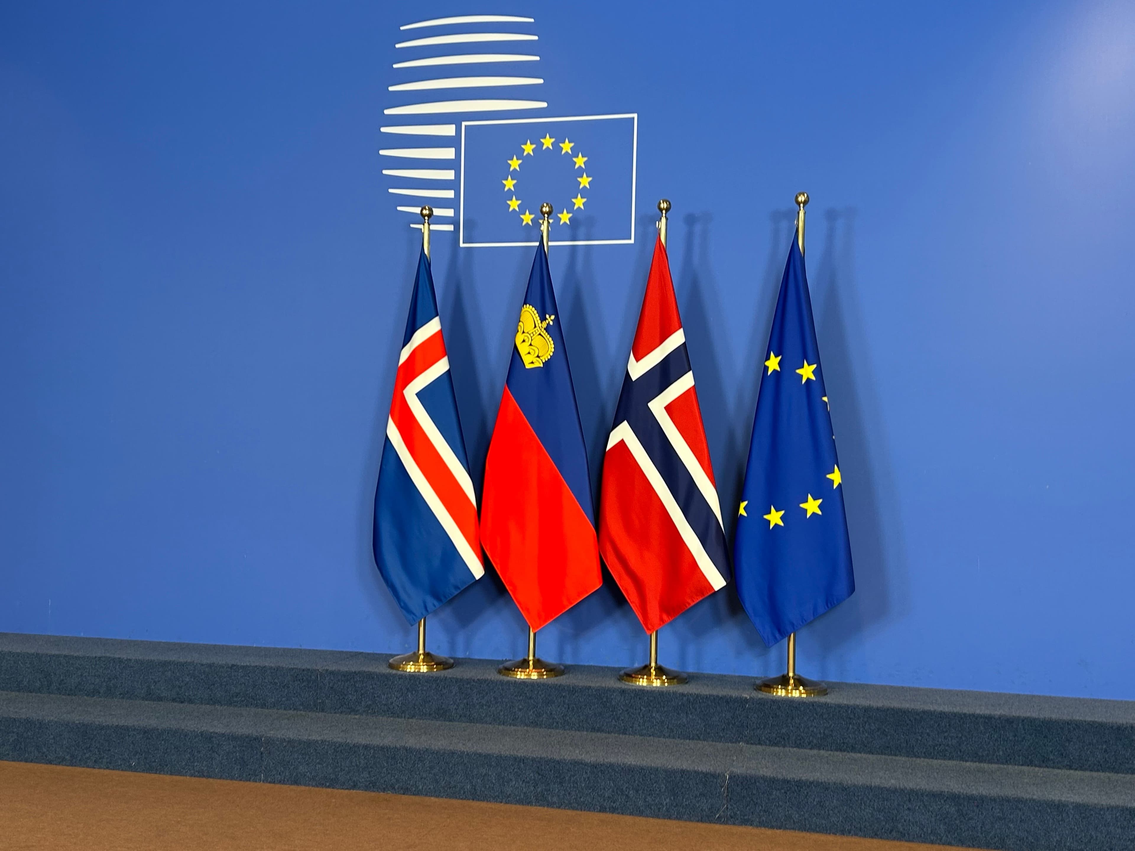 Flaggene til Island, Liechtenstein, Norge og EU er utstilt mot en blå vegg.