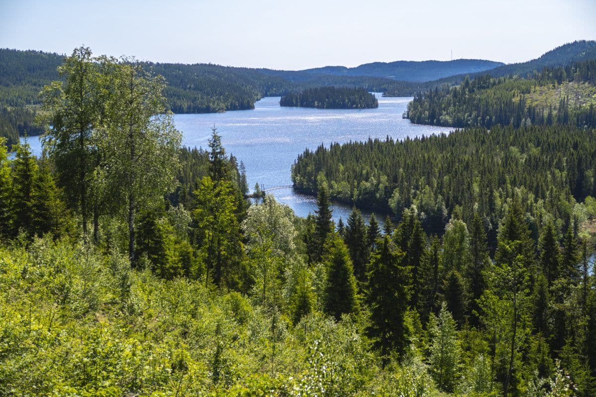 En naturskjønn utsikt over et skogkledd landskap med en elv som slynger seg gjennom grønne åser under en klar blå himmel.
