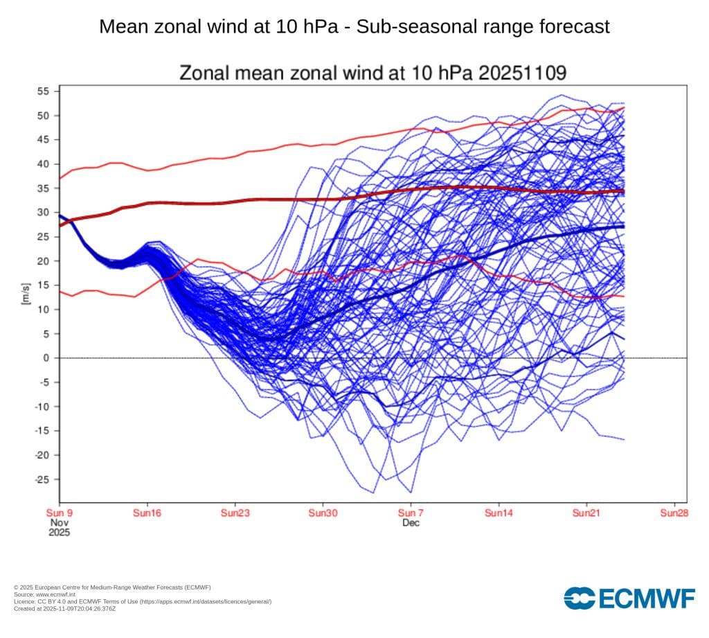 Linjediagram som viser prognostisert gjennomsnittlig sonevind ved 10 hPa fra november til desember 2025, med flere blå linjer som representerer ensembleprognoser og røde linjer som viser gjennomsnittsverdier.